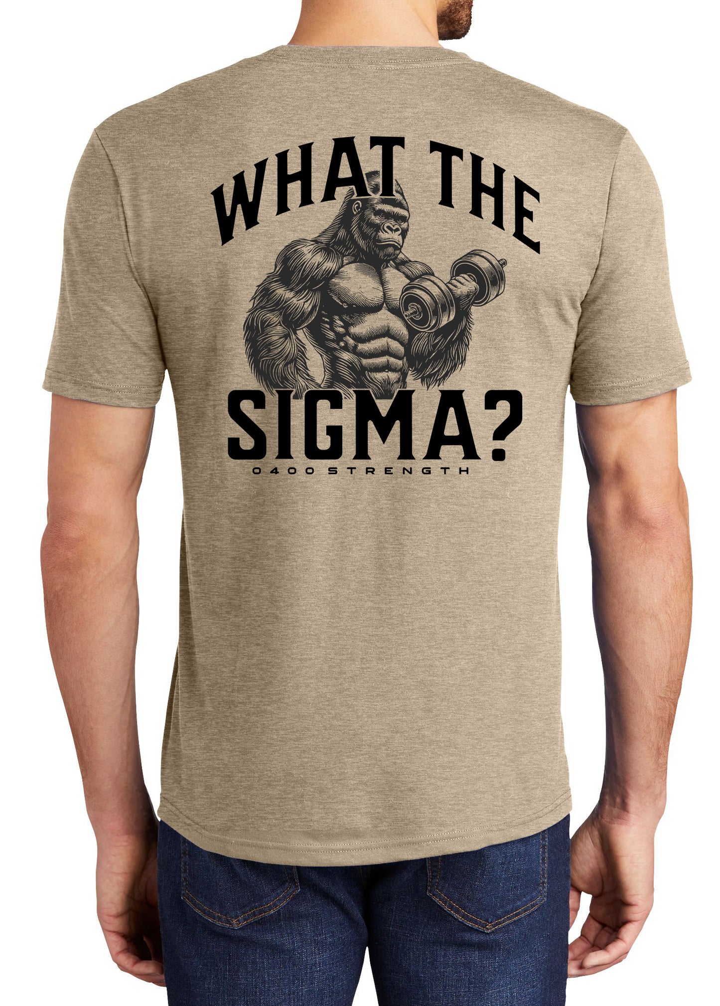 0400 WHAT THE SIGMA